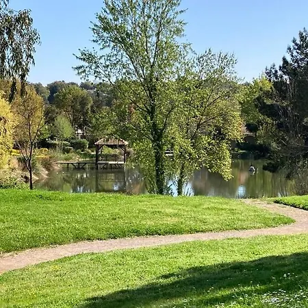 Les Restanques 2268 Glycines * Grimaud