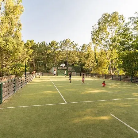 Appartement Les Restanques 2268 Glycines Grimaud