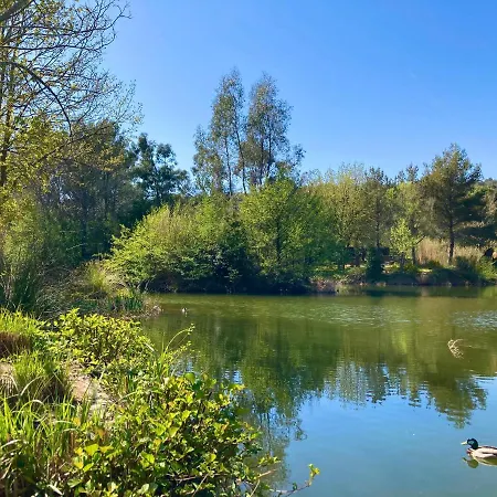 Les Restanques 2268 Glycines Appartement Grimaud