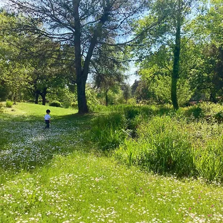 Les Restanques 2268 Glycines * Grimaud